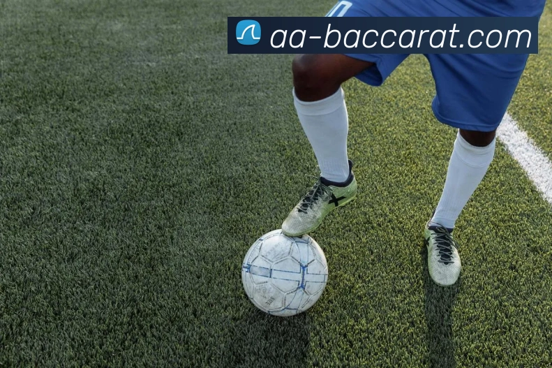 百家乐官网平台生态图