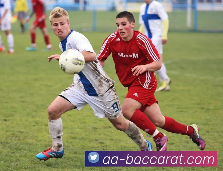 百家乐官网全站App